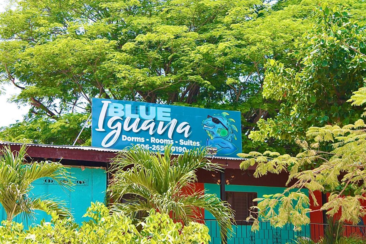 Blue Iguana Hotell Sámara Exteriör bild